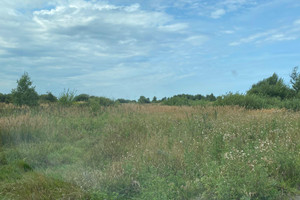 Działka na sprzedaż 17598m2 kołobrzeski Kołobrzeg Stary Borek Stary Borek - zdjęcie 2