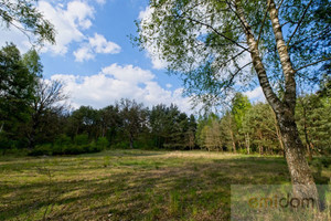 Działka na sprzedaż pułtuski Zatory Pniewo - zdjęcie 3