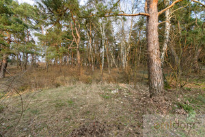 Działka na sprzedaż 10035m2 pułtuski Zatory Łęcino - zdjęcie 3