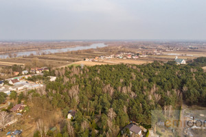 Działka na sprzedaż 10035m2 pułtuski Zatory Łęcino - zdjęcie 1