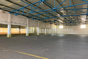 Komercyjne do wynajęcia 700m2 Toruń - zdjęcie 1