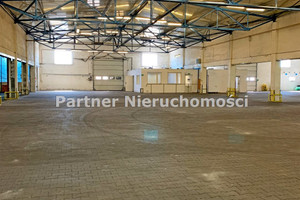 Komercyjne do wynajęcia 700m2 Toruń - zdjęcie 3