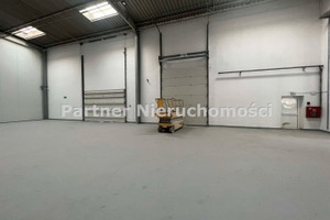 Komercyjne do wynajęcia 440m2 Toruń - zdjęcie 3