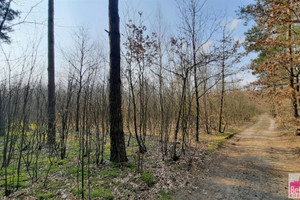 Działka na sprzedaż 73400m2 płocki Brudzeń Duży Strupczewo Duże - zdjęcie 2