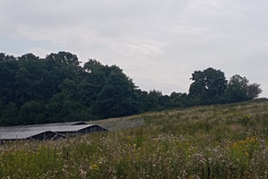 Działka na sprzedaż lipnowski Dobrzyń nad Wisłą Zbyszewo - zdjęcie 2