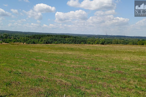 Działka na sprzedaż 1000m2 Dąbrowa Górnicza Błędów Zagórze - zdjęcie 3