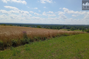 Działka na sprzedaż 941m2 Dąbrowa Górnicza Błędów Zagórze - zdjęcie 1