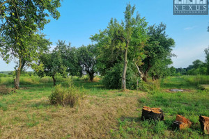 Działka na sprzedaż Dąbrowa Górnicza Ząbkowice Jaskółcza - zdjęcie 2