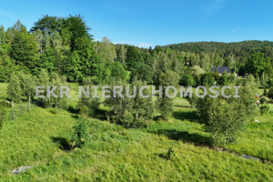 Dom na sprzedaż 340m2 Jelenia Góra Jagniątków - zdjęcie 3