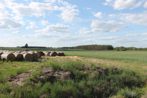 Działka na sprzedaż 37800m2 wolsztyński Siedlec Kiełkowo - zdjęcie 3