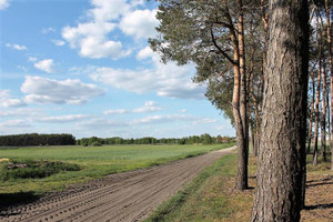 Działka na sprzedaż 37800m2 wolsztyński Siedlec Kiełkowo - zdjęcie 2