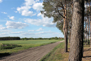 Działka na sprzedaż 37800m2 wolsztyński Siedlec Kiełkowo - zdjęcie 2