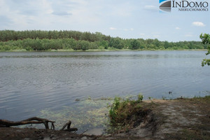 Działka na sprzedaż 11600m2 piotrkowski Łęki Szlacheckie Teklin - zdjęcie 3