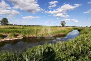 Działka na sprzedaż 6069m2 nakielski Szubin Małe Rudy - zdjęcie 4