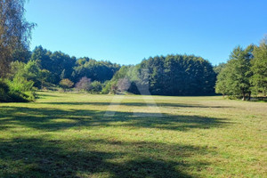 Działka na sprzedaż bydgoski Koronowo - zdjęcie 3