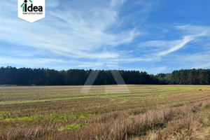 Działka na sprzedaż 1048m2 bydgoski Dobrcz Nekla - zdjęcie 1