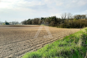 Działka na sprzedaż 4125m2 bydgoski Dąbrowa Chełmińska Ostromecko - zdjęcie 2