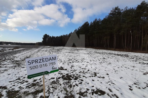 Działka na sprzedaż bydgoski Koronowo Stary Jasiniec - zdjęcie 2