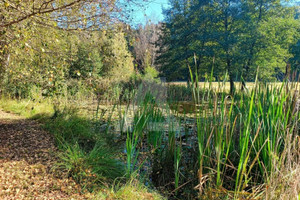 Działka na sprzedaż bydgoski Koronowo - zdjęcie 2