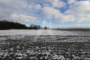 Działka na sprzedaż bydgoski Koronowo Stary Jasiniec - zdjęcie 3