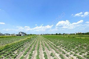 Działka na sprzedaż 1094m2 pruszkowski Raszyn Łady - zdjęcie 1