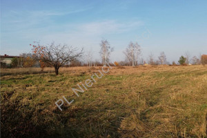 Działka na sprzedaż 1698m2 pruszkowski Michałowice Michałowice-Wieś - zdjęcie 3