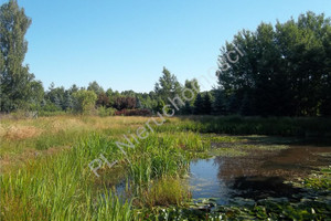 Działka na sprzedaż 1200m2 grodziski Grodzisk Mazowiecki - zdjęcie 3