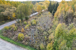 Działka na sprzedaż 1200m2 grodziski Żabia Wola Oddział - zdjęcie 2