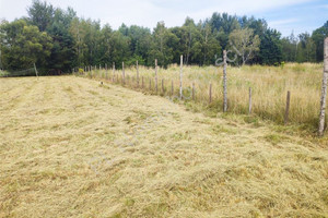 Działka na sprzedaż 3000m2 grodziski Grodzisk Mazowiecki Radonie - zdjęcie 3