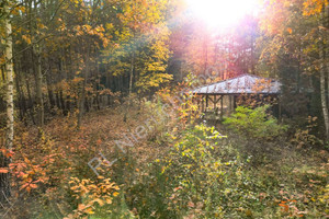 Działka na sprzedaż 1840m2 grodziski Żabia Wola Musuły - zdjęcie 1