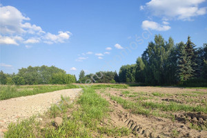 Działka na sprzedaż 4938m2 grodziski Grodzisk Mazowiecki Chrzanów Mały - zdjęcie 2