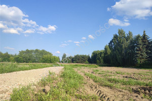 Działka na sprzedaż 4938m2 grodziski Grodzisk Mazowiecki Chrzanów Mały - zdjęcie 3