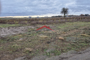 Działka na sprzedaż 800m2 legionowski Serock Karolino - zdjęcie 2