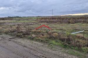 Działka na sprzedaż 800m2 legionowski Serock Karolino - zdjęcie 3