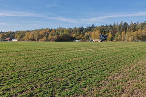 Działka na sprzedaż 31891m2 miński Mrozy Wola Rafałowska Teodora Dumina - zdjęcie 3