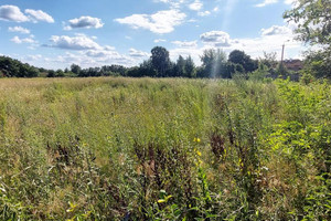 Działka na sprzedaż 10244m2 wołomiński Radzymin Słupno Ceglana - zdjęcie 3