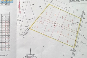 Działka na sprzedaż 33955m2 górowski Wąsosz Kamień Górowski Jaspisowa - zdjęcie 2