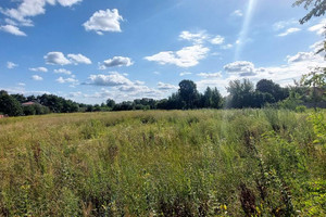 Działka na sprzedaż 10244m2 wołomiński Radzymin Słupno Ceglana - zdjęcie 2