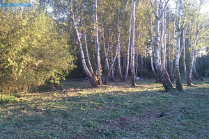 Działka na sprzedaż 1499m2 wołomiński Wołomin Zielona - zdjęcie 2