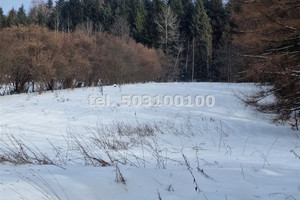 Dom na sprzedaż 400m2 nowosądecki Krynica-Zdrój - zdjęcie 1