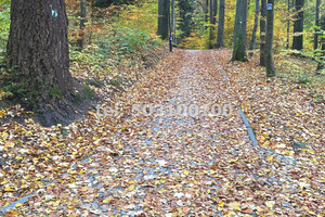 Działka na sprzedaż 650m2 nowosądecki Krynica-Zdrój - zdjęcie 1