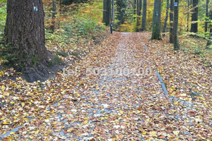 Działka na sprzedaż 647m2 nowosądecki Krynica-Zdrój - zdjęcie 2