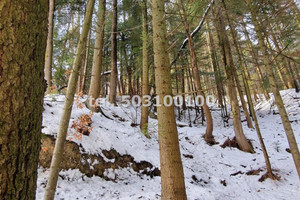 Dom na sprzedaż 240m2 nowosądecki Krynica-Zdrój - zdjęcie 2