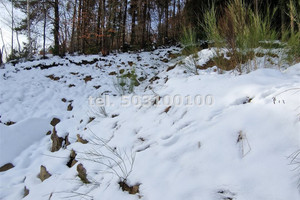 Działka na sprzedaż 680m2 nowosądecki Krynica-Zdrój - zdjęcie 1