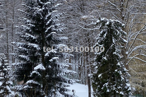 Dom na sprzedaż 840m2 nowosądecki Krynica-Zdrój - zdjęcie 3