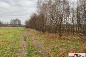 Działka na sprzedaż zgierski Aleksandrów Łódzki Rąbień Jagodowa - zdjęcie 3