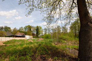 Działka na sprzedaż 3165m2 międzychodzki Sieraków Putza - zdjęcie 3