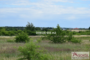 Działka na sprzedaż 655m2 policki Dobra (Szczecińska) Dołuje - zdjęcie 1