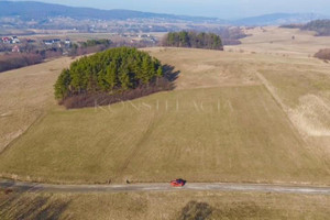 Działka na sprzedaż 11100m2 myślenicki Wiśniowa - zdjęcie 1