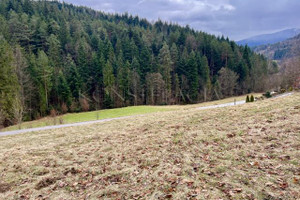 Działka na sprzedaż 2800m2 limanowski Mszana Dolna Kasinka Mała - zdjęcie 2